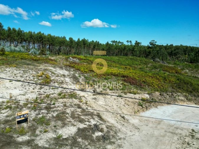 Terreno para Venda em Recezinhos (São Martinho) Foto 3