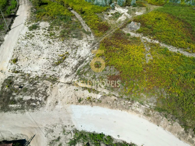 Terreno para Venda em Recezinhos (São Martinho) Foto 4