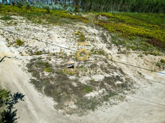 Terreno para Venda em Recezinhos (São Martinho) Foto 1