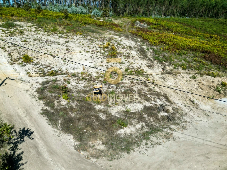 Terreno para Venda em Recezinhos (São Martinho) Foto 1