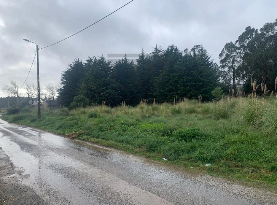 Terreno Agricola ou Rústico para Venda em Santa Maria e São Miguel, São Martinho, São Pedro Penaferrim Foto 1