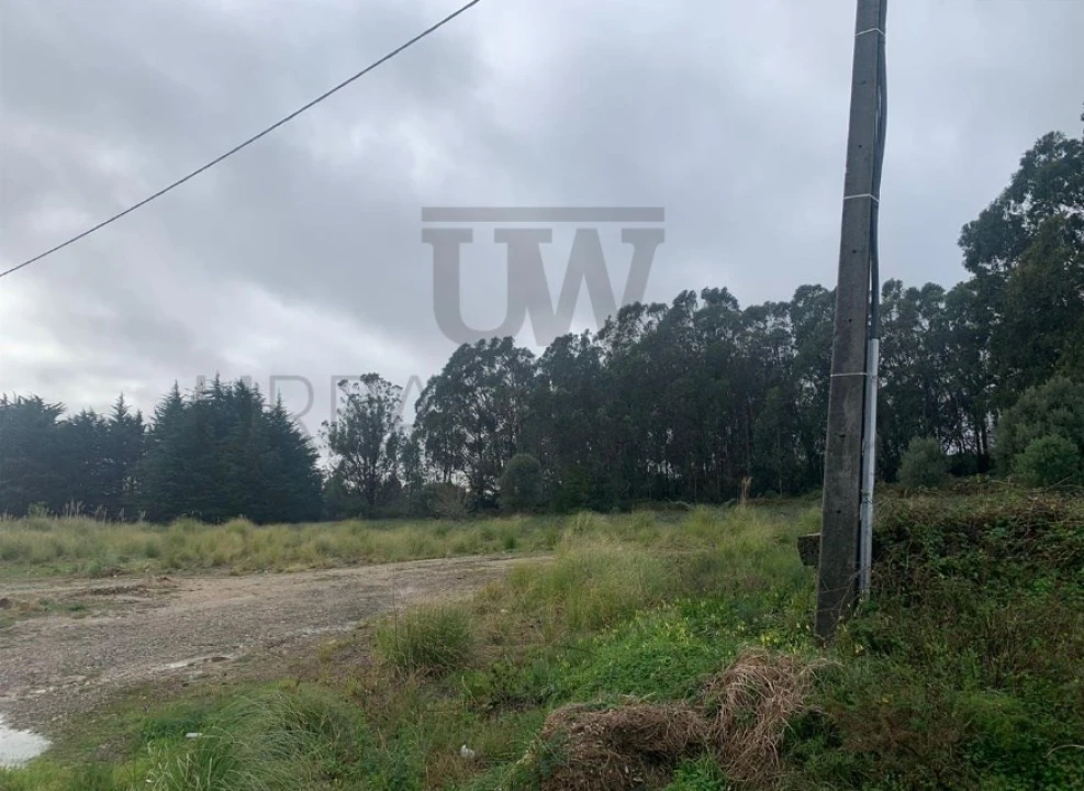 Terreno Agricola ou Rústico para Venda em Santa Maria e São Miguel, São Martinho, São Pedro Penaferrim Foto 6