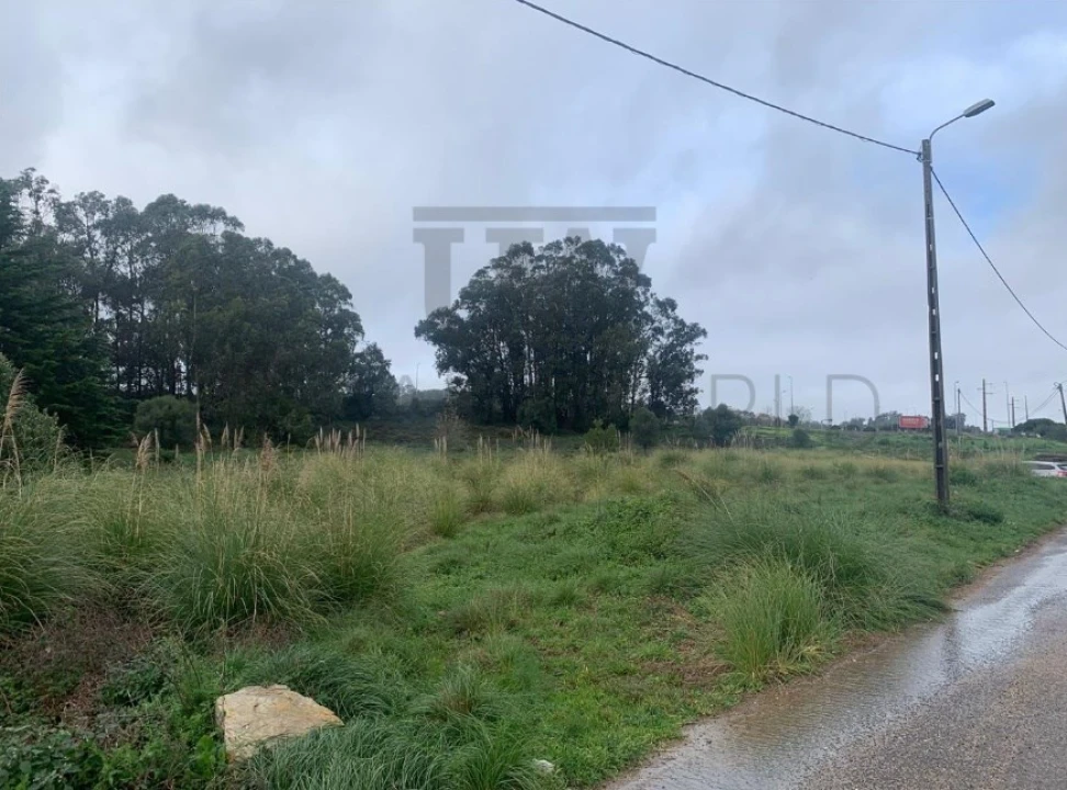 Terreno Agricola ou Rústico para Venda em Santa Maria e São Miguel, São Martinho, São Pedro Penaferrim Foto 9