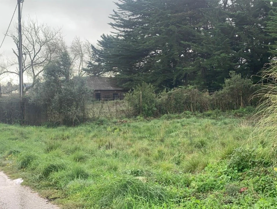 Terreno Agricola ou Rústico para Venda em Santa Maria e São Miguel, São Martinho, São Pedro Penaferrim Foto 11
