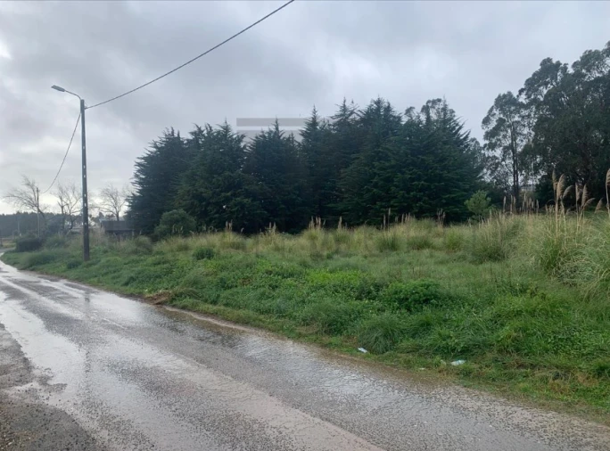 Terreno Agricola ou Rústico para Venda em Santa Maria e São Miguel, São Martinho, São Pedro Penaferrim Foto 1