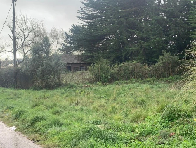 Terreno Agricola ou Rústico para Venda em Santa Maria e São Miguel, São Martinho, São Pedro Penaferrim Foto 11