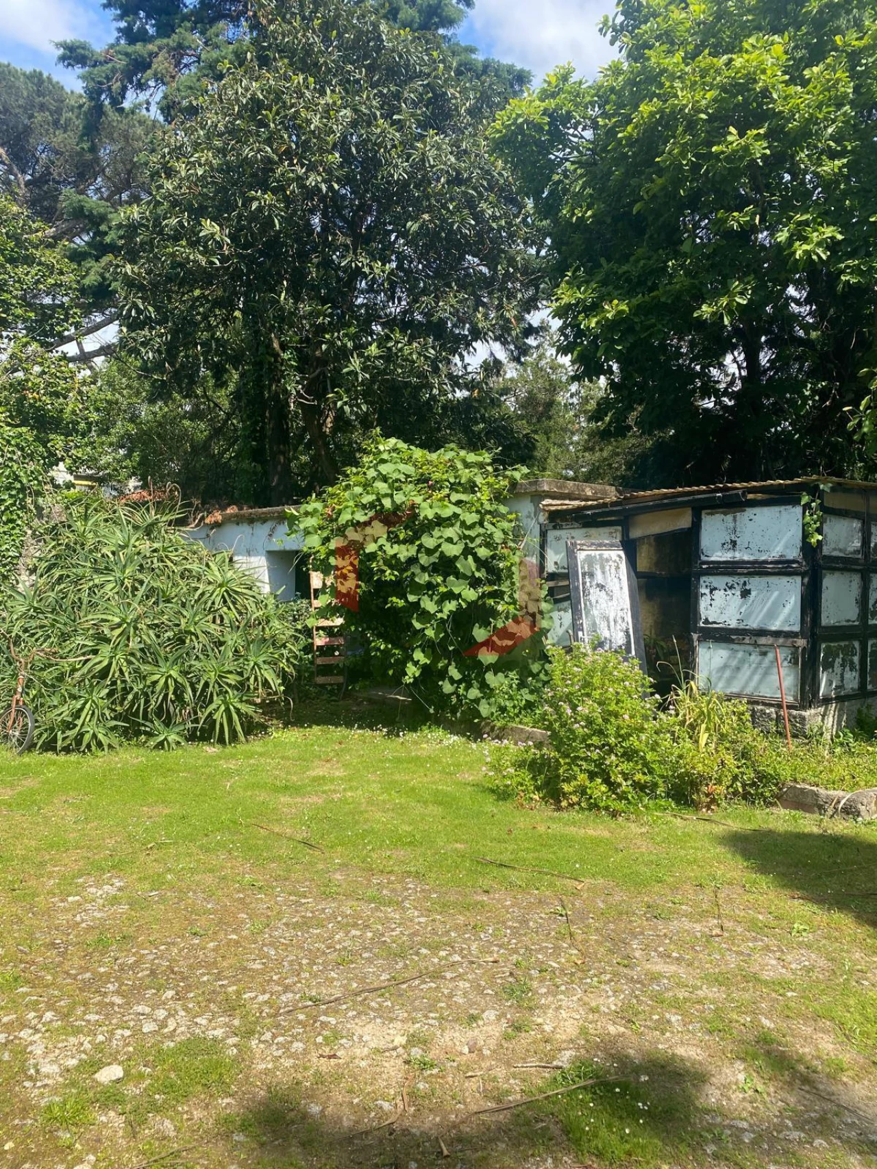 Moradia T9 para Venda em Lordelo do Ouro e Massarelos Foto 8