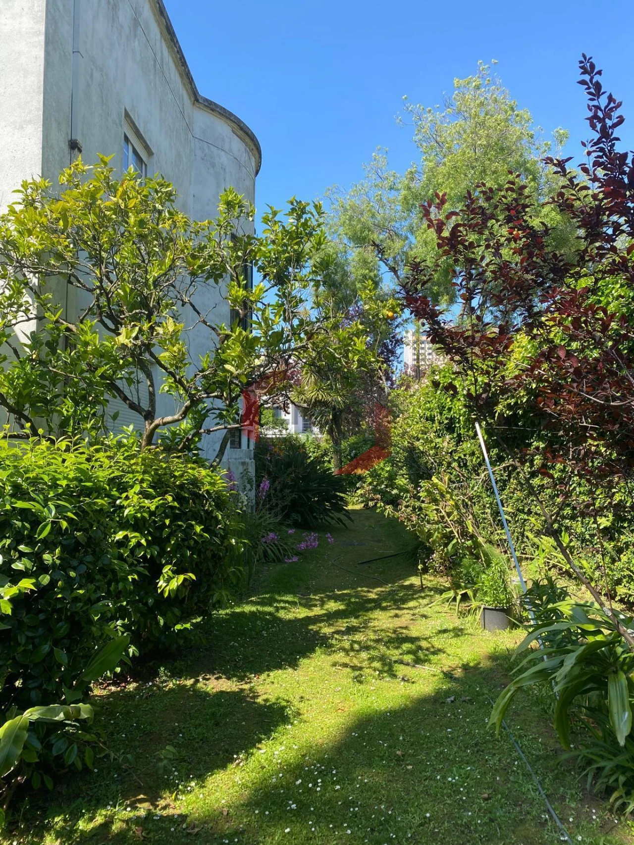 Moradia T9 para Venda em Lordelo do Ouro e Massarelos Foto 6