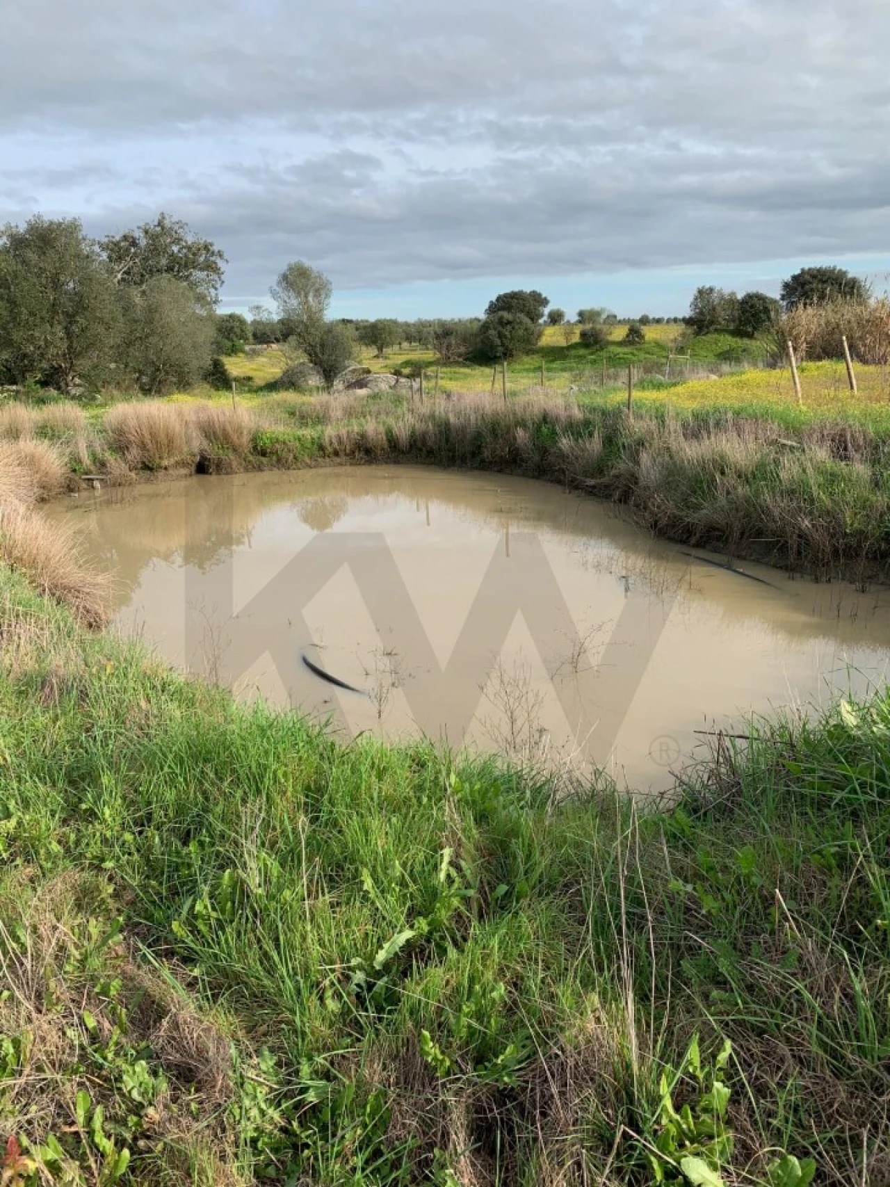 Quinta T3 para Venda em Reguengos de Monsaraz Foto 12