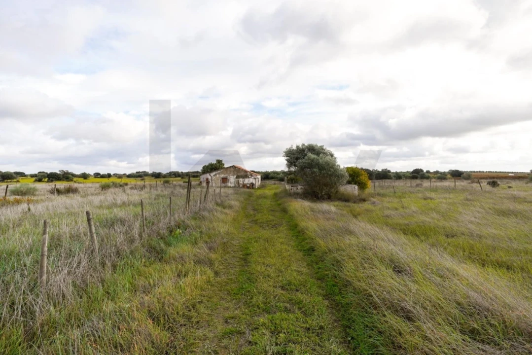 Quinta T3 para Venda em Reguengos de Monsaraz Foto 19