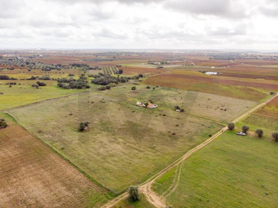 Quinta T3 para Venda em Reguengos de Monsaraz Foto 22