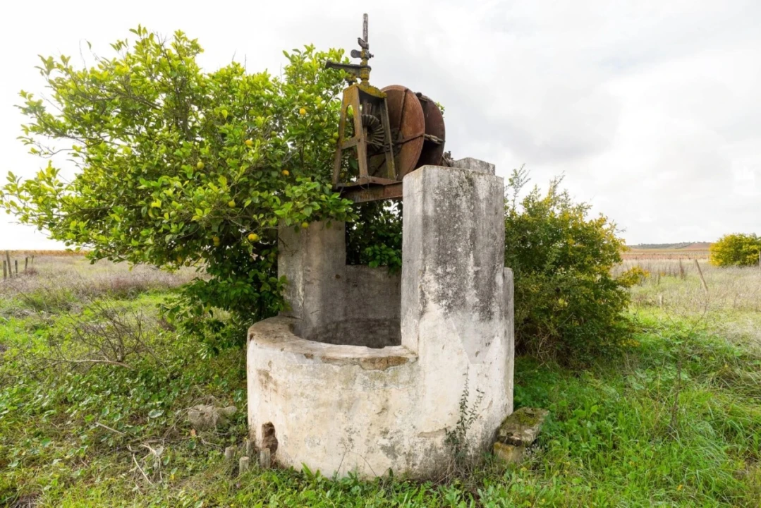 Quinta T3 para Venda em Reguengos de Monsaraz Foto 17