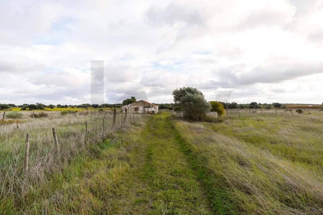 Quinta T3 para Venda em Reguengos de Monsaraz Foto 18