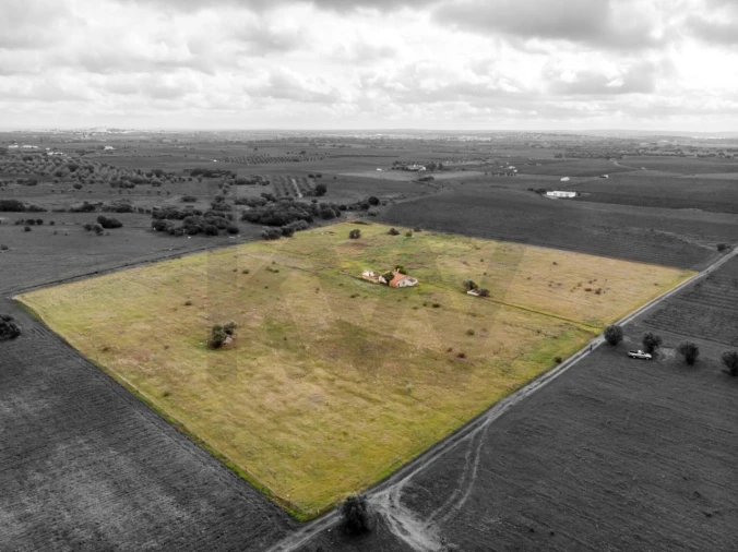 Quinta T3 para Venda em Reguengos de Monsaraz Foto 14