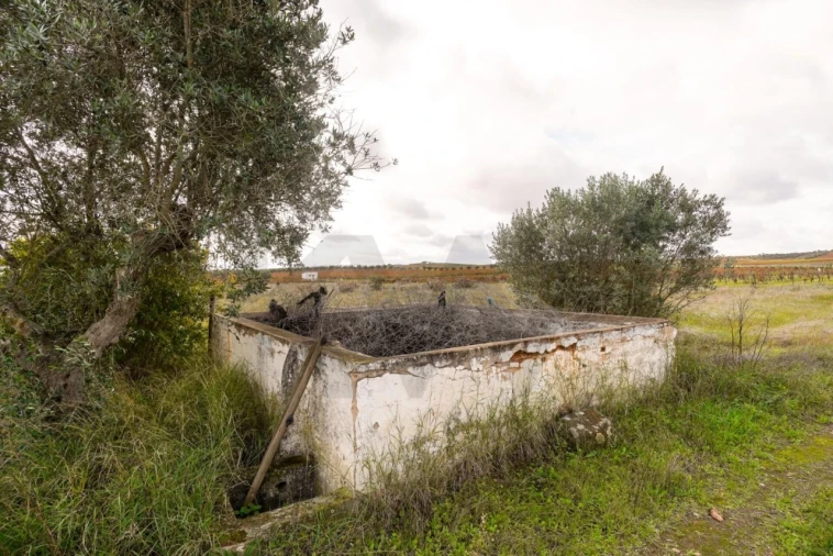 Quinta T3 para Venda em Reguengos de Monsaraz Foto 12