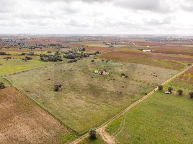 Quinta T3 para Venda em Reguengos de Monsaraz Foto 21