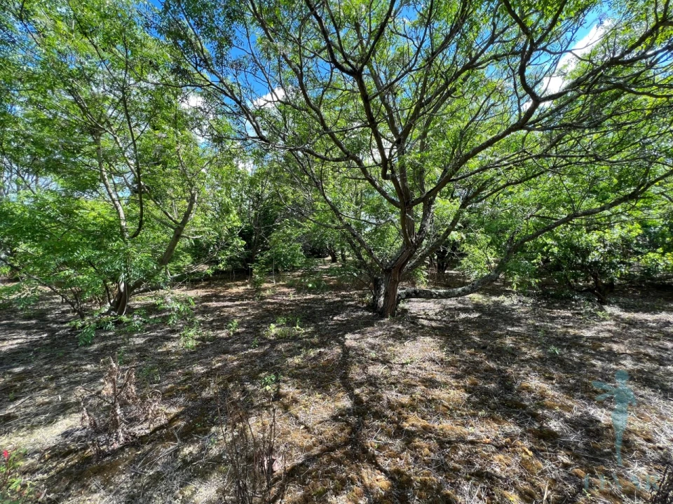 Moradia T4 para Venda em Sepins e Bolho Foto 130