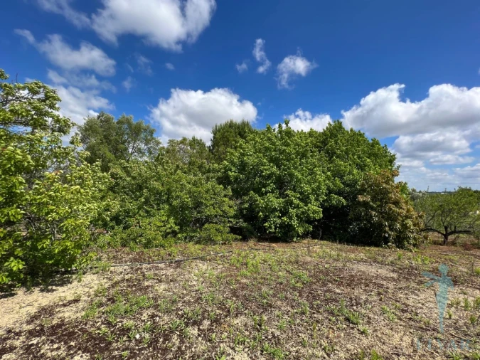 Moradia T4 para Venda em Sepins e Bolho Foto 44