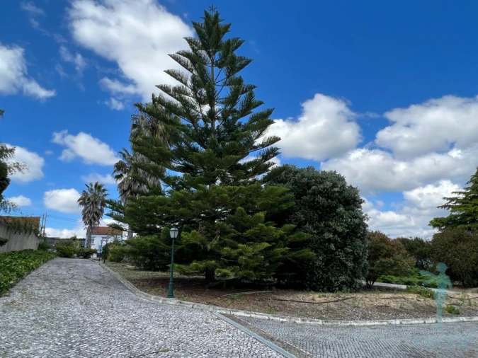 Moradia T4 para Venda em Sepins e Bolho Foto 11