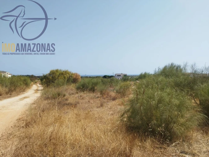 Terreno para Venda em Alcantarilha e Pêra Foto 11