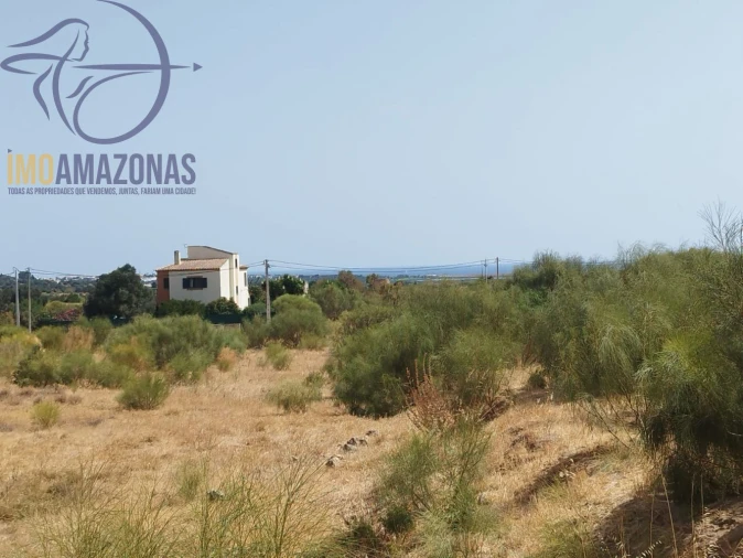 Terreno para Venda em Alcantarilha e Pêra Foto 3