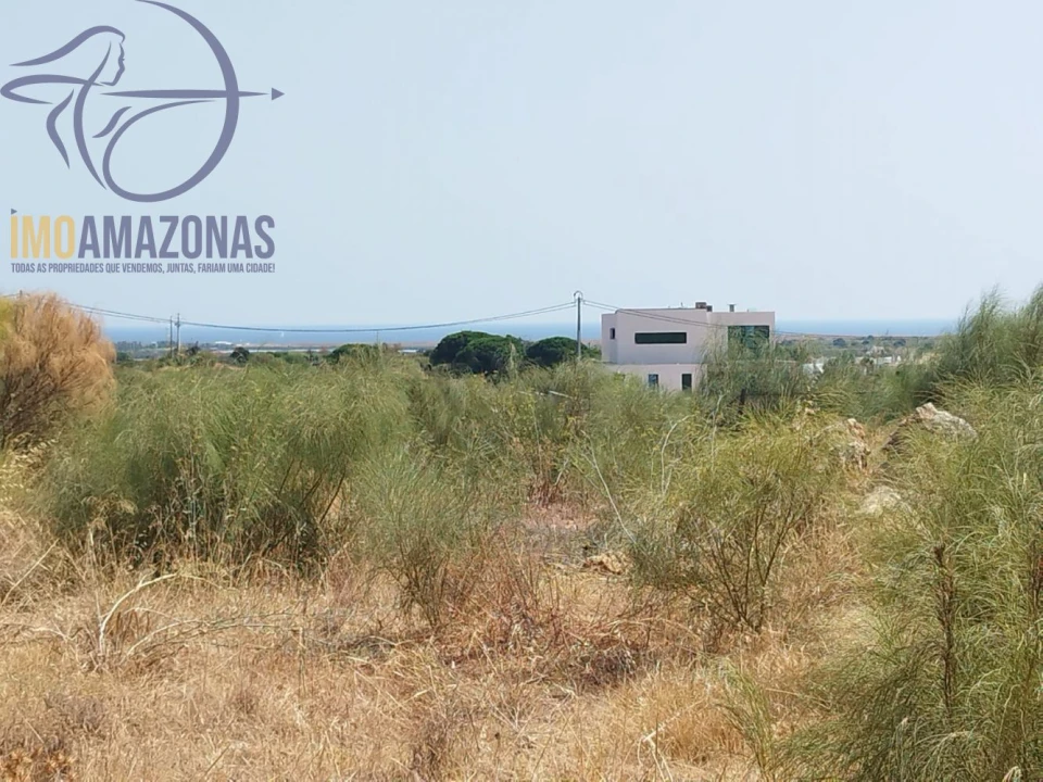 Terreno para Venda em Alcantarilha e Pêra Foto 2