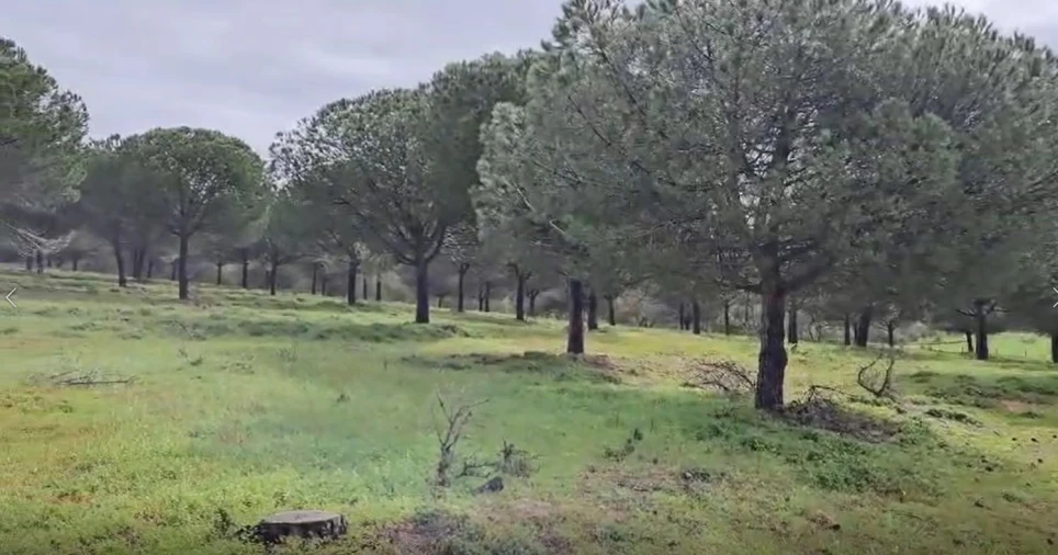 Terreno para Venda em Sines Foto 22