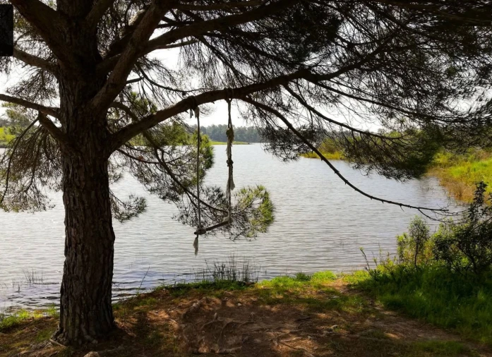 Terreno para Venda em Sines Foto 26