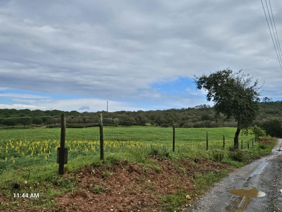 Terreno para Venda em Sines Foto 11