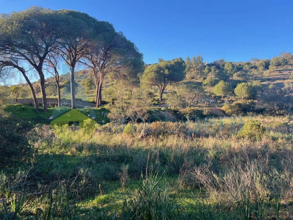 Terreno Agricola ou Rústico para Venda em Paderne Foto 1