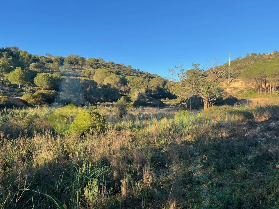 Terreno Agricola ou Rústico para Venda em Paderne Foto 5