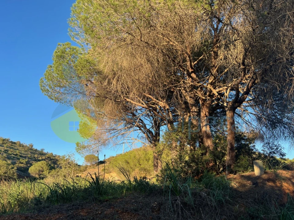 Terreno Agricola ou Rústico para Venda em Paderne Foto 9
