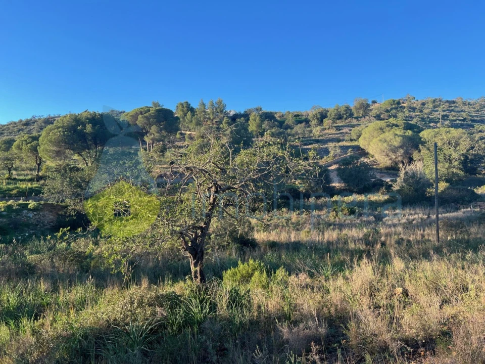 Terreno Agricola ou Rústico para Venda em Paderne Foto 10