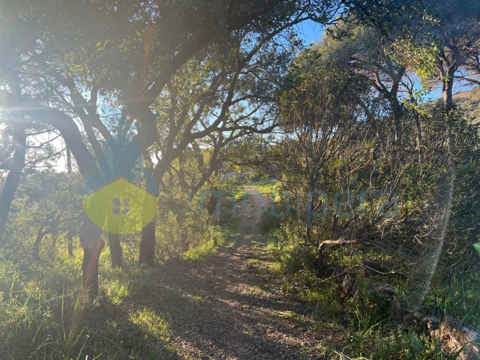 Terreno Agricola ou Rústico para Venda em Paderne Foto 13