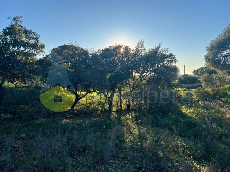 Terreno Agricola ou Rústico para Venda em Paderne Foto 14