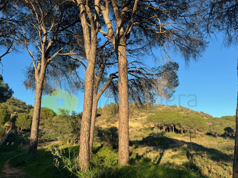 Terreno Agricola ou Rústico para Venda em Paderne Foto 17