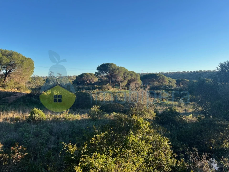 Terreno Agricola ou Rústico para Venda em Paderne Foto 20