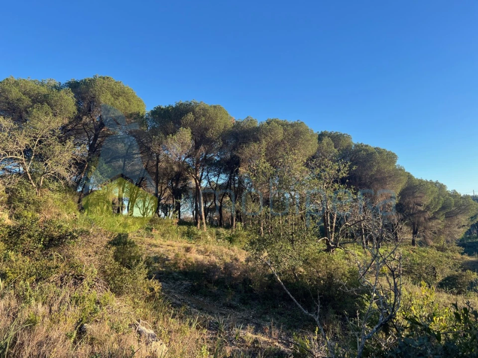 Terreno Agricola ou Rústico para Venda em Paderne Foto 25