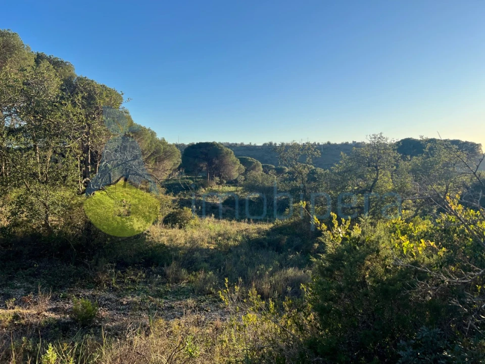 Terreno Agricola ou Rústico para Venda em Paderne Foto 26