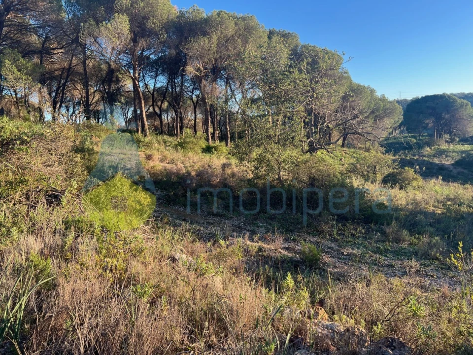 Terreno Agricola ou Rústico para Venda em Paderne Foto 27