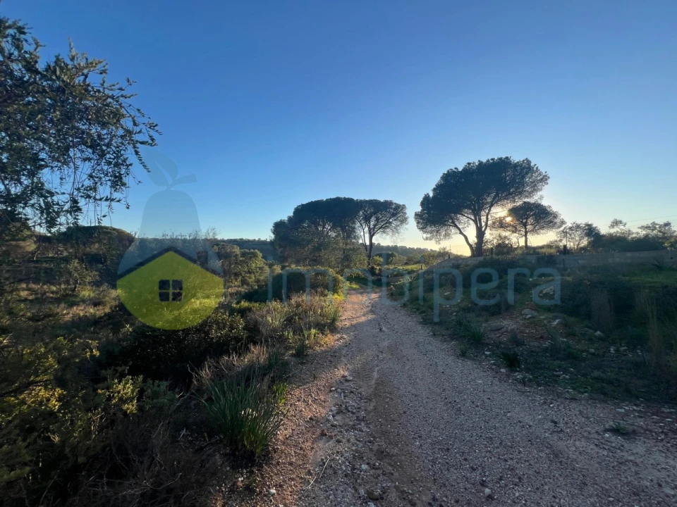 Terreno Agricola ou Rústico para Venda em Paderne Foto 31
