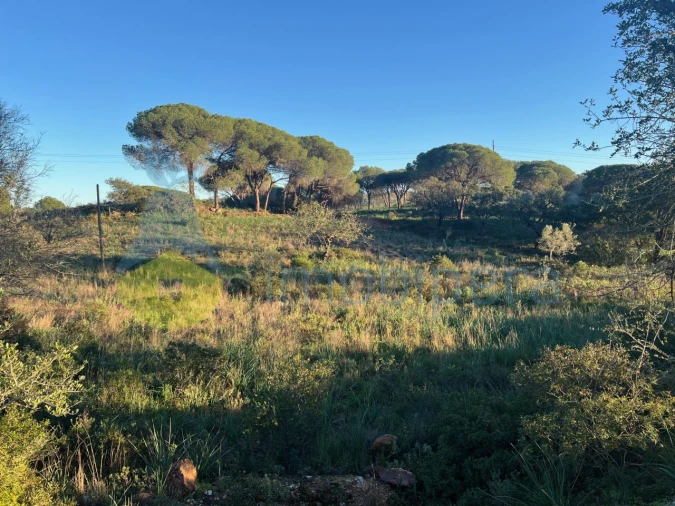 Terreno Agricola ou Rústico para Venda em Paderne Foto 3