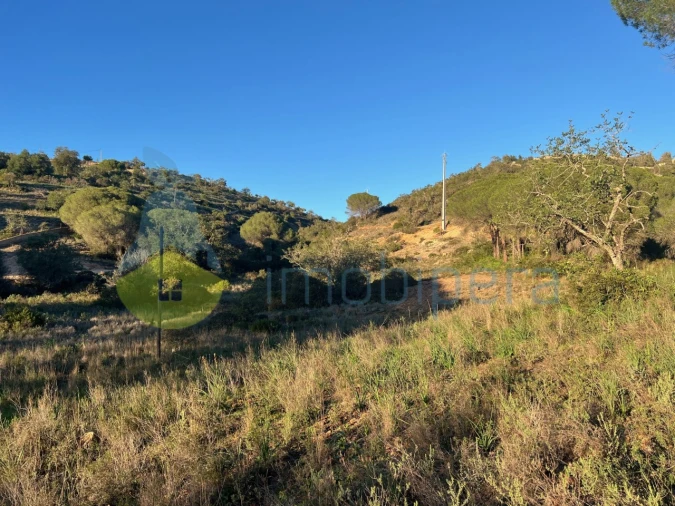 Terreno Agricola ou Rústico para Venda em Paderne Foto 4