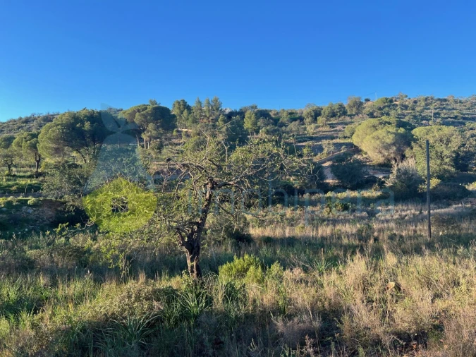 Terreno Agricola ou Rústico para Venda em Paderne Foto 10
