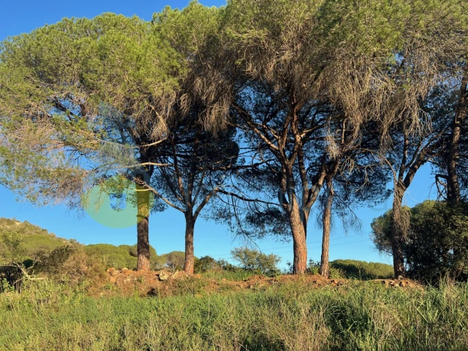 Terreno Agricola ou Rústico para Venda em Paderne Foto 11