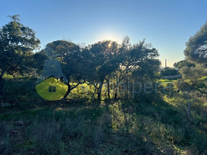 Terreno Agricola ou Rústico para Venda em Paderne Foto 14