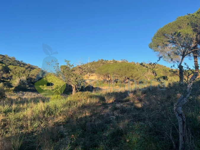 Terreno Agricola ou Rústico para Venda em Paderne Foto 15