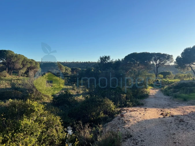 Terreno Agricola ou Rústico para Venda em Paderne Foto 21