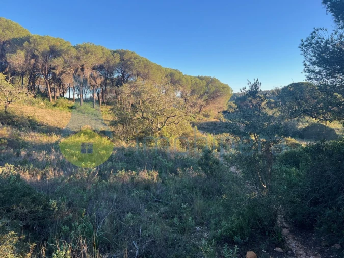 Terreno Agricola ou Rústico para Venda em Paderne Foto 22