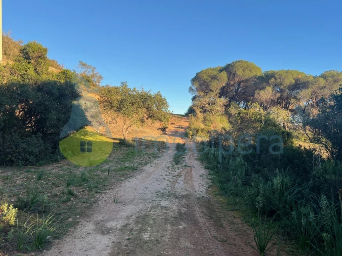 Terreno Agricola ou Rústico para Venda em Paderne Foto 23